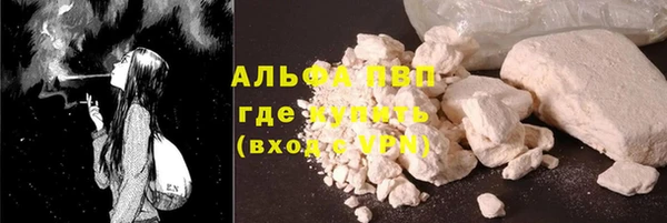 шишки Тавда