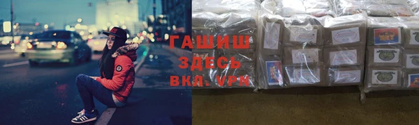 сатива Сясьстрой